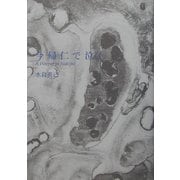 今帰仁(なきじん)で泣く [単行本]