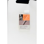 リーメンシュナイダー―中世最後の彫刻家(五柳叢書) [全集叢書]