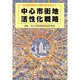 中心市街地活性化戦略 [単行本]