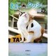 ねこタクシー〈下〉(竹書房文庫) [文庫]