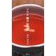 ソウル韓方旅手帳 [単行本]