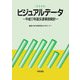 ビジュアルデータ〈2006〉―平成17年版交通事故統計 [単行本]