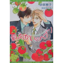 斜向かいのヘブン(新書館ディアプラス文庫) [文庫]