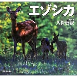 エゾシカ―北国の野生動物 [絵本]