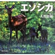 エゾシカ―北国の野生動物 [絵本]