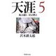 天涯〈5〉風は踊り星は燃え(集英社文庫) [文庫]