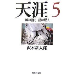 天涯〈5〉風は踊り星は燃え(集英社文庫) [文庫]