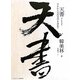 天書―失われた古代文字を求めて [単行本]