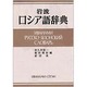 岩波ロシア語辞典 [事典辞典]