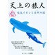 天上の旅人－空気イオンと生命の話 [単行本]