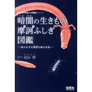 暗闇の生きもの摩訶ふしぎ図鑑－知られざる洞窟生物の世界（「生きもの摩訶ふしぎ図鑑」シリーズ） [単行本]
