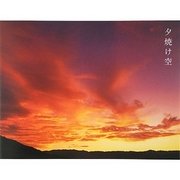 夕焼け空 [単行本]