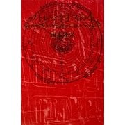 プトレマイオスの生―あらゆる歴史的転換の信仰からの超克 [単行本]