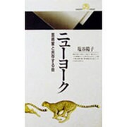 ニューヨーク―芸術家と共存する街(丸善ライブラリー) [新書]