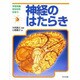 神経のはたらき(学習図鑑からだのひみつ) [図鑑]