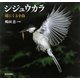 シジュウカラ―庭にくる小鳥 [絵本]