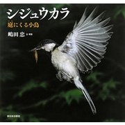 シジュウカラ―庭にくる小鳥 [絵本]