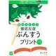 陰山メソッド 徹底反復 ぶんすうプリント－8割の子がつまずく！ニガテ克服シリーズ（3）(陰山英男の徹底反復シリーズ) [ムックその他]