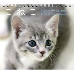 こねこ 2013[ミニカレンダー] [カレンダー]