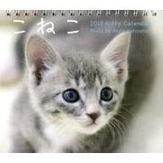 こねこ 2013[ミニカレンダー] [カレンダー]