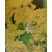 詩集 花・野菜詩集〈3〉 [単行本]