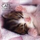 キャッツコレクションカレンダー 2006 [カレンダー]