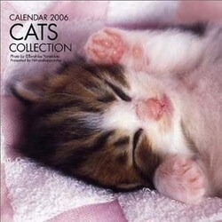 キャッツコレクションカレンダー 2006 [カレンダー]