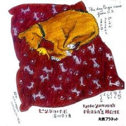 ピンガのいた日 [絵本]
