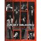 JUN SKY WALKER(S) FILE BOOK―ARENA37℃ 1988-1993 and NOW [単行本]