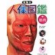 実物大 人体図鑑〈1〉筋肉 [図鑑]