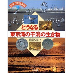 どうなる東京湾の干潟の生き物(科学で環境探検) [全集叢書]