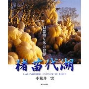 猪苗代湖―幻想的な氷の世界 [単行本]