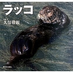 ヨドバシ Com ラッコ 北国の野生動物 絵本 通販 全品無料配達