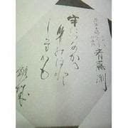 齋藤史歌集 改訂版－齋藤史自選（不識文庫 1） [単行本]