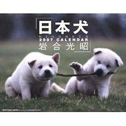 日本犬 2007[カレンダー] [カレンダー]