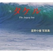 タケル－海波 TheAngrySea 星野小麿写真集 [単行本]