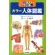 カラー人体図鑑－ビジュアル・アナトミー [単行本]