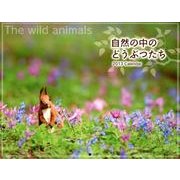 自然の中のどうぶつたち 2013[カレンダー] [カレンダー]