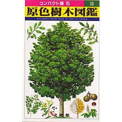 原色樹木図鑑 2（コンパクト版 5） [図鑑]
