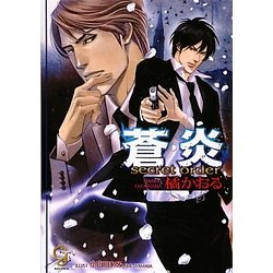 蒼炎―secret order(ガッシュ文庫) [文庫]