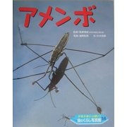 ドキドキいっぱい!虫のくらし写真館〈14〉アメンボ [単行本]