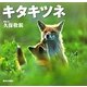 キタキツネ―北国の野生動物 [絵本]