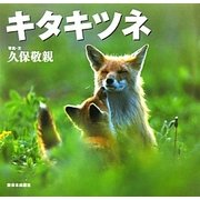 キタキツネ―北国の野生動物 [絵本]