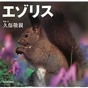 エゾリス(北国の野生動物) [絵本]