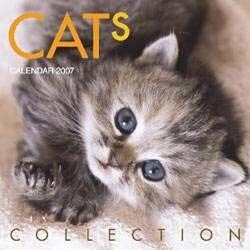 CATS COLLECTION[カレンダー] 2007 [カレンダー]