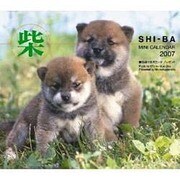 ミニカレンダードッグズ「柴」 2007 [カレンダー]