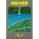 迷惑な遺言(M & A) [単行本]