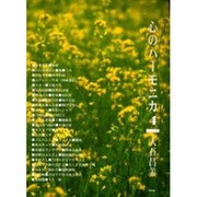 心のハーモニカ 4