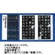 龍門二十品〈下〉(中国法書選〈21〉) [全集叢書]