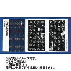 龍門二十品〈下〉(中国法書選〈21〉) [全集叢書]